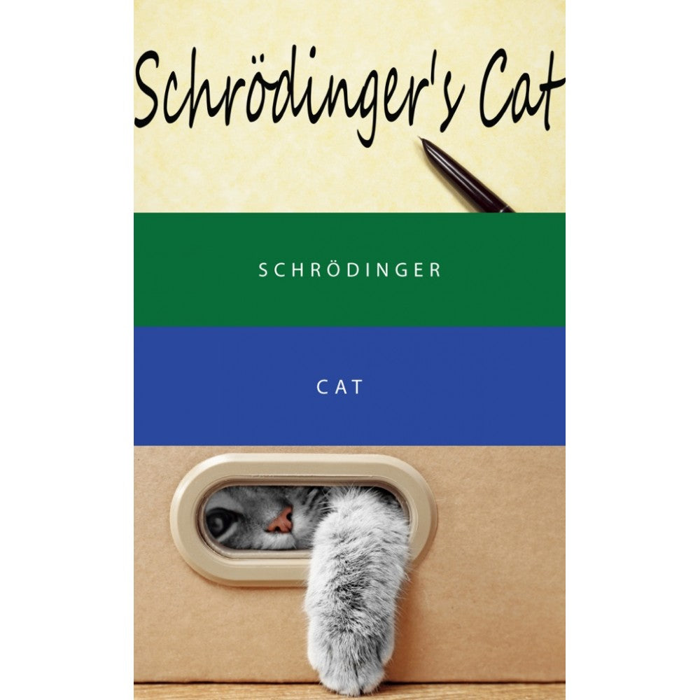 Colorverse | Multiverse Series | Season 3 | Fountain Pen Ink | Schrodinger | Green | 65ml and 15ml | 2 Bottle Set - penpencilink