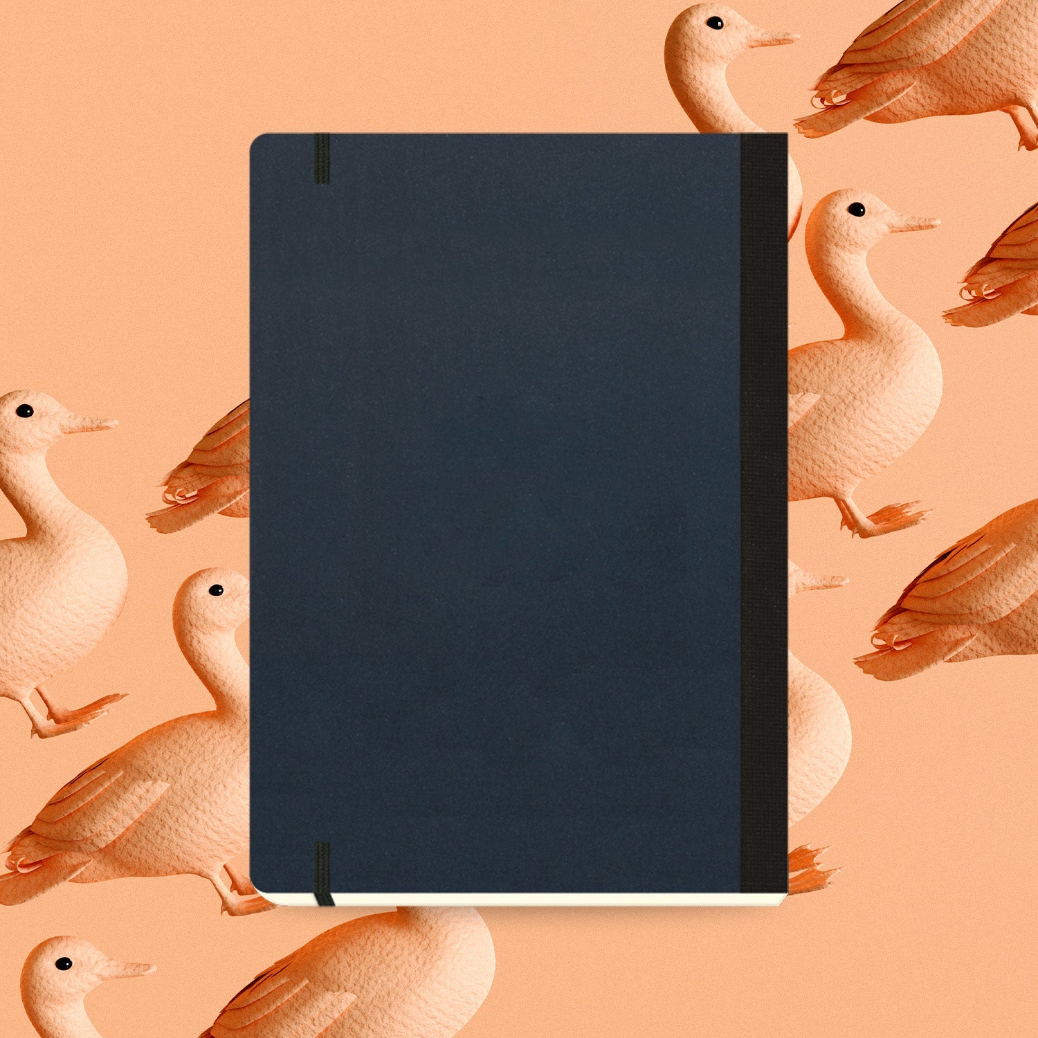Flexbook | Open Date | Large B5 Size Planner | Black | Flex Global