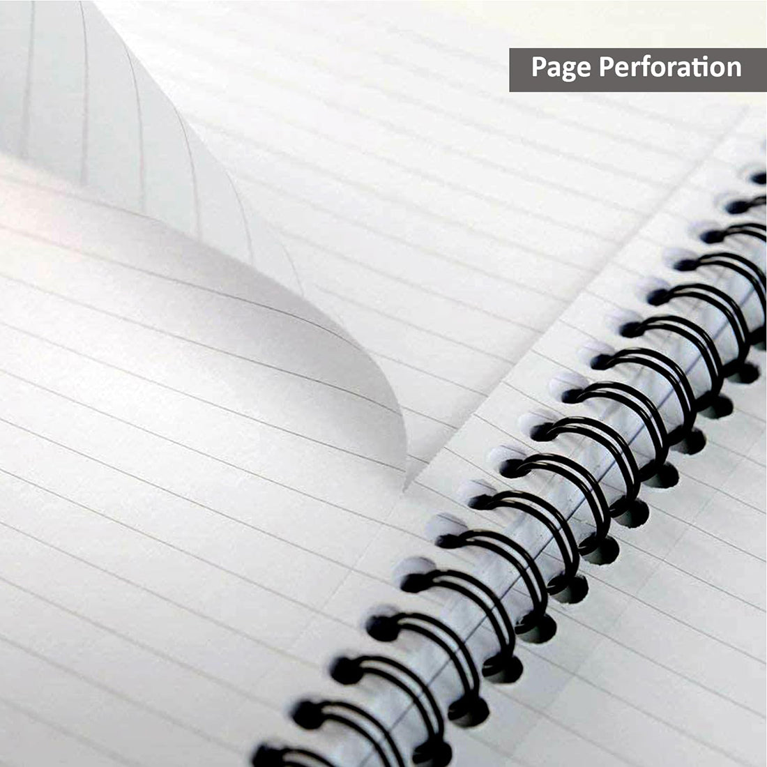 Pukka Pad A5 Size Single Line Ruled Subject Notebook - College Ruled 200 Pages 80gsm Spiral Wiro Bound Glee Series