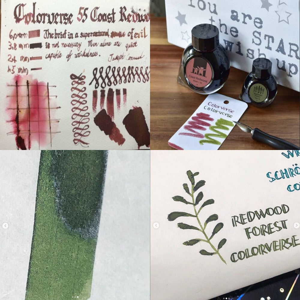 Colorverse | Earth Edition | Coast Redwood (Brown) - Redwood Forest (Dark Green) | Fountain Pen Ink | 65ml and 15ml | 2 Bottle Set - penpencilink