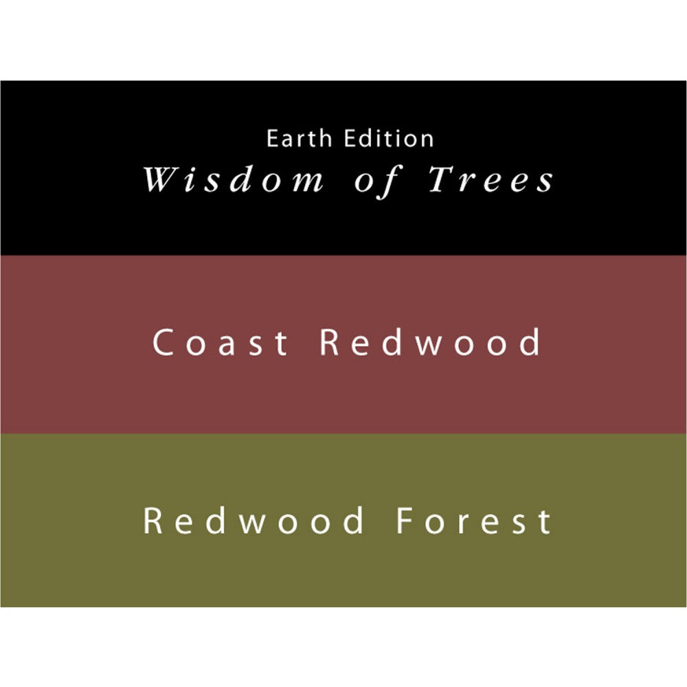 Colorverse | Earth Edition | Coast Redwood (Brown) - Redwood Forest (Dark Green) | Fountain Pen Ink | 65ml and 15ml | 2 Bottle Set - penpencilink