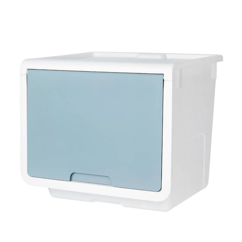 Litem | Multi Utility Storage  Box |Organizer  | Mint | Roomax Cube Plus | For Office & Home