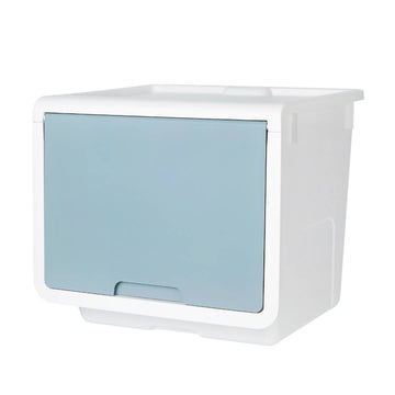 Litem | Multi Utility Storage  Box |Organizer  | Mint | Roomax Cube Plus | For Office & Home
