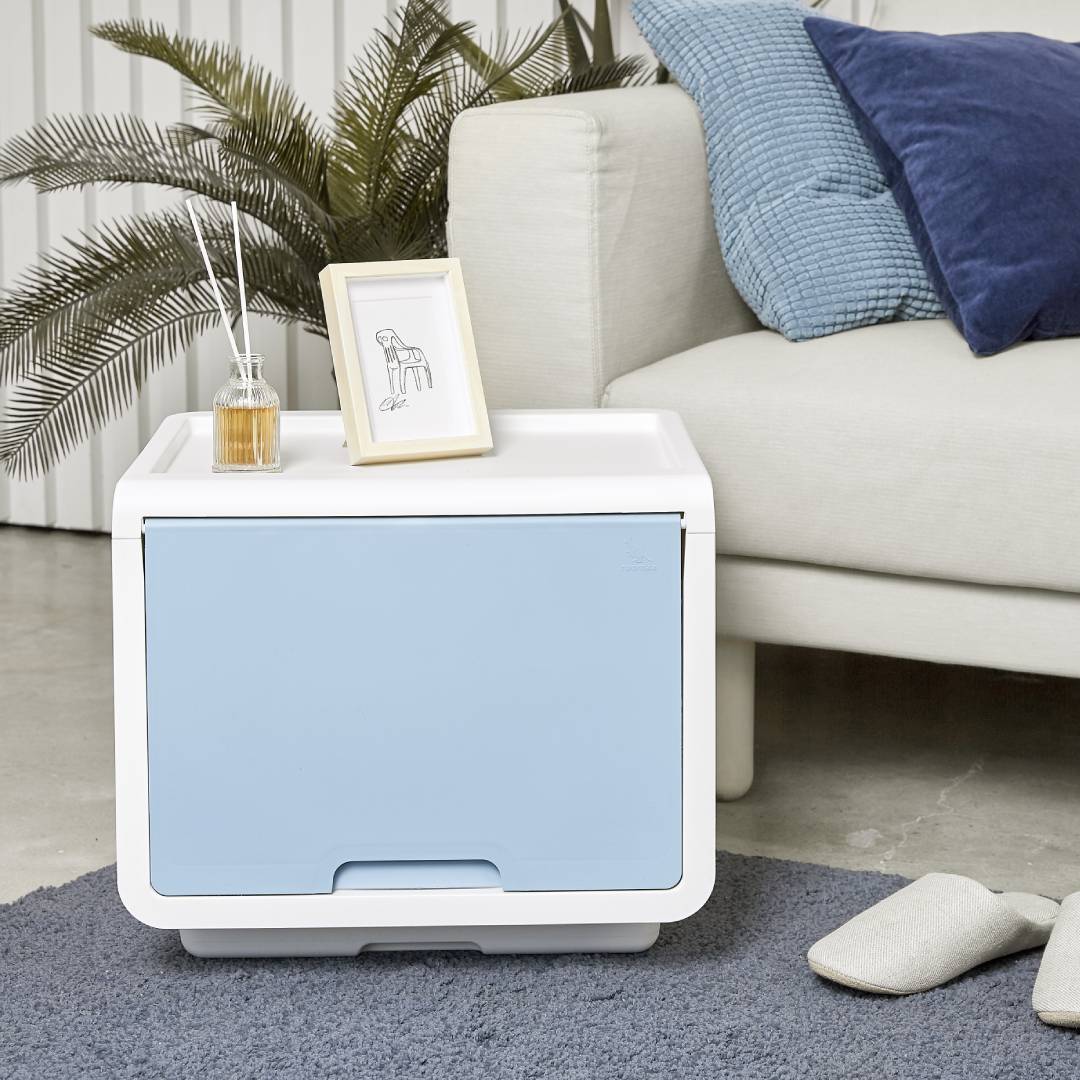 Litem | Multi Utility Storage  Box |Organizer  | Mint | Roomax Cube Plus | For Office & Home