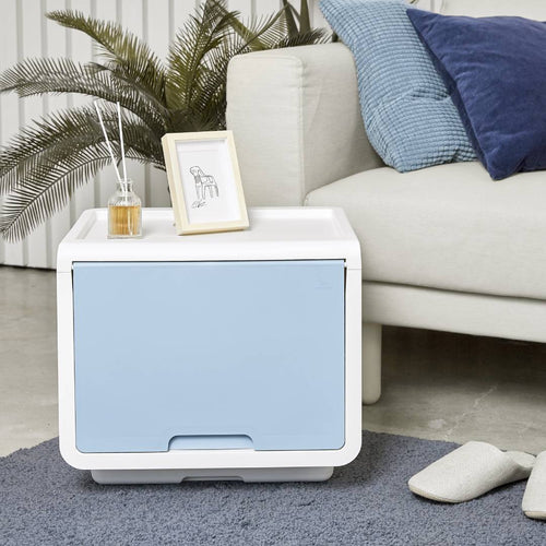 Litem | Multi Utility Storage  Box |Organizer  | Mint | Roomax Cube Plus | For Office & Home