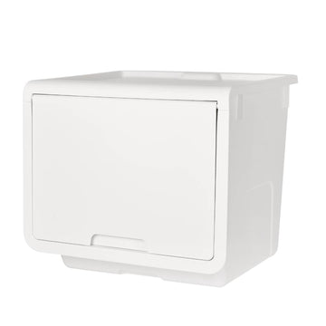Litem | Multi Utility Storage  Box |Organizer  | Ivory | Roomax Cube Plus | For Office & Home