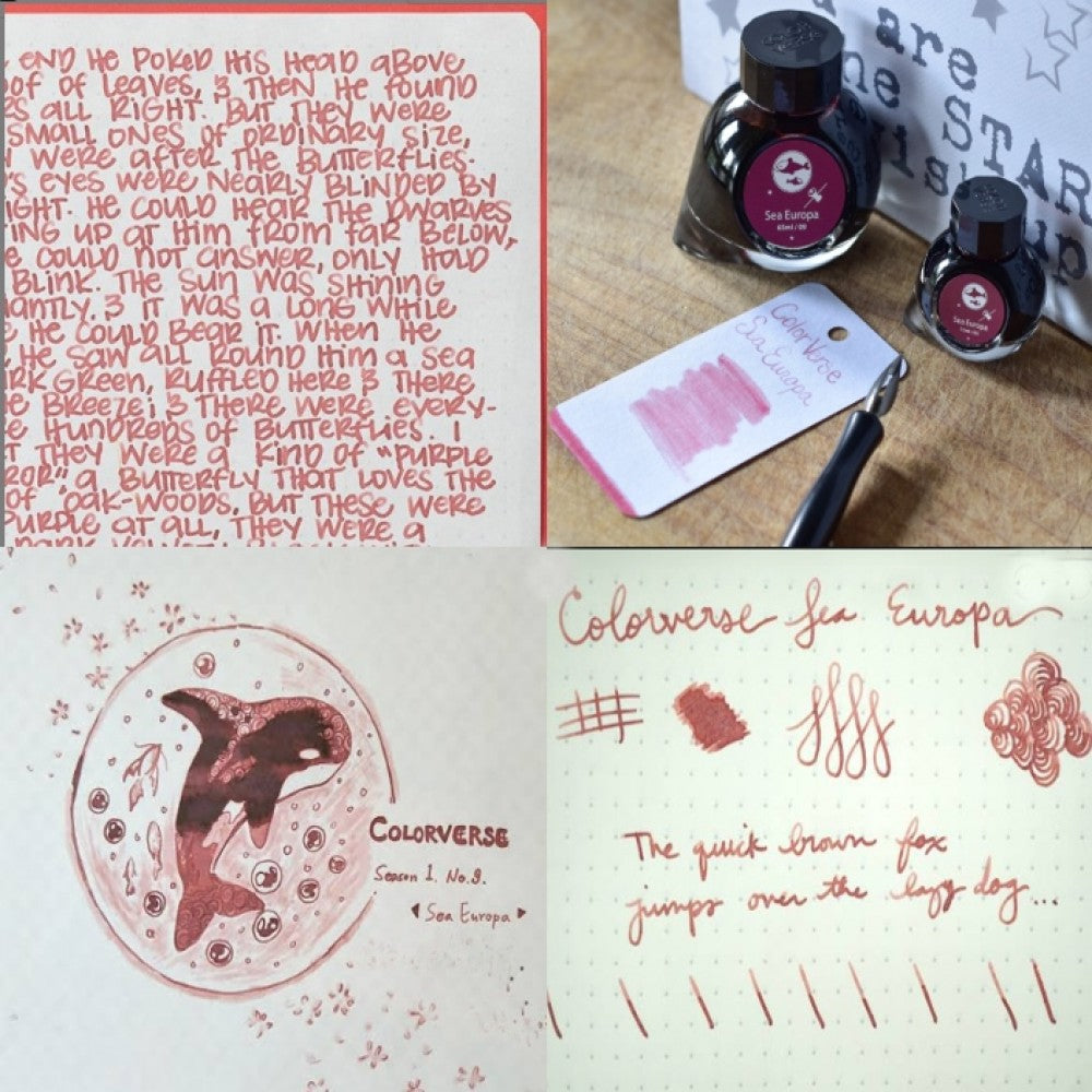 Colorverse Ink | Spaceward Series | Sea Europa | Red | 65ml & 15ml | 2 Bottle Set - penpencilink