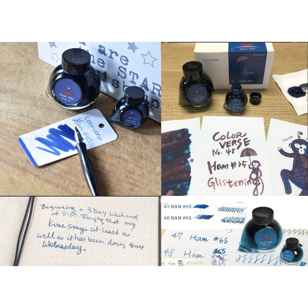 Colorverse Ink | Trailblazer In Space | HAM 65 | Dark Blue | 65ml & 15ml | 2 Bottle Set - penpencilink