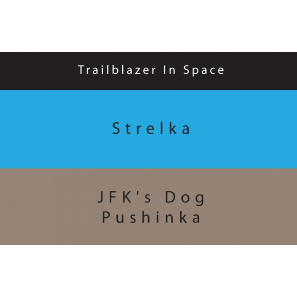 Colorverse Ink | Trailblazer In Space | Strelka | Blue | 65ml & 15ml | 2 Bottle Set - penpencilink