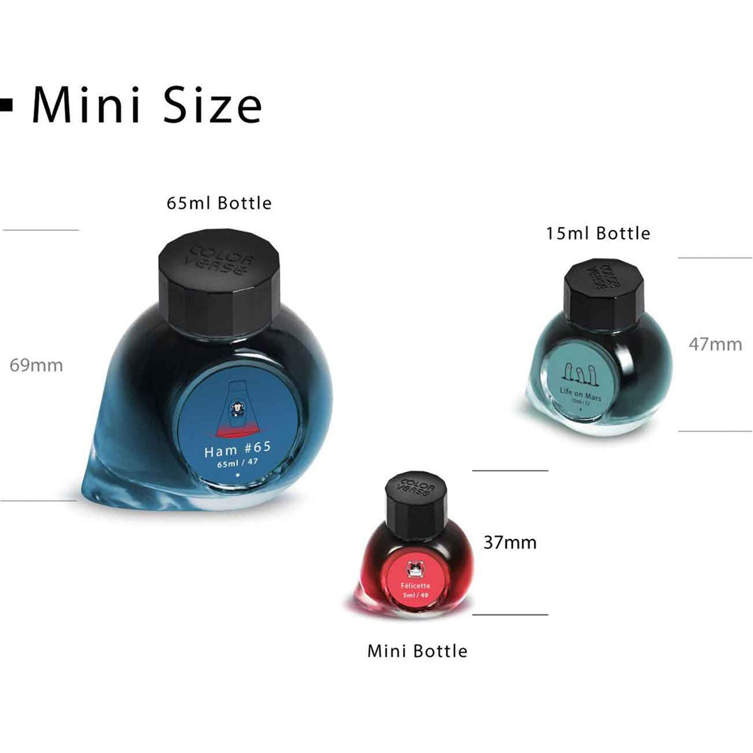 Colorverse Mini |  Black | Fountain Pen Bottled Ink | 5ml | Black Hole