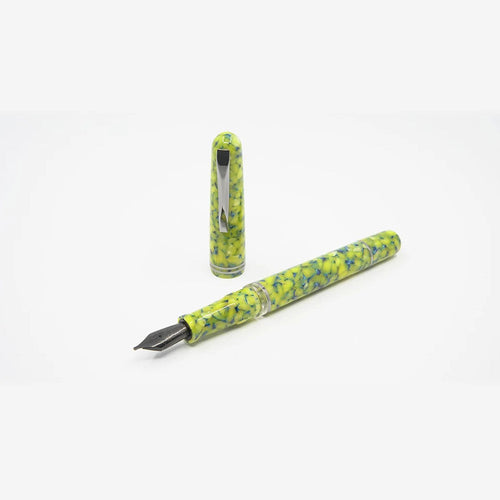 Gioia | Metis Fountain Pen | Colibri Black Trims | Medium Nib