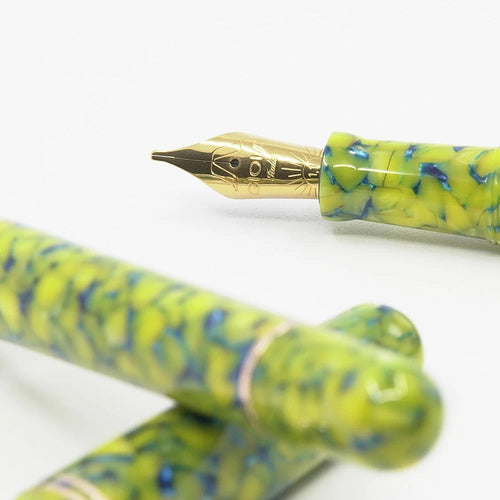 Gioia | Metis Fountain Pen | Colibri | Gold Trims | Stub Nib