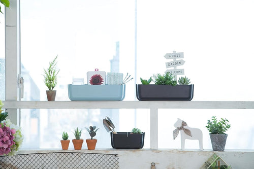 Litem | Wall Mounted | Organizer |  Dark Grey | Myroom | For Office  Home & Kitchen