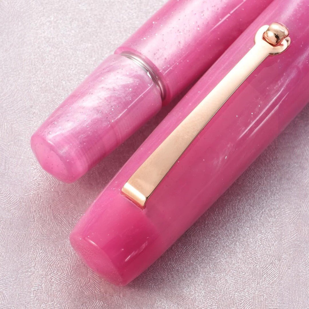 Penlux | Fountain Pen | Concerto | Rose Nebula | Rose Gold Trim - penpencilink