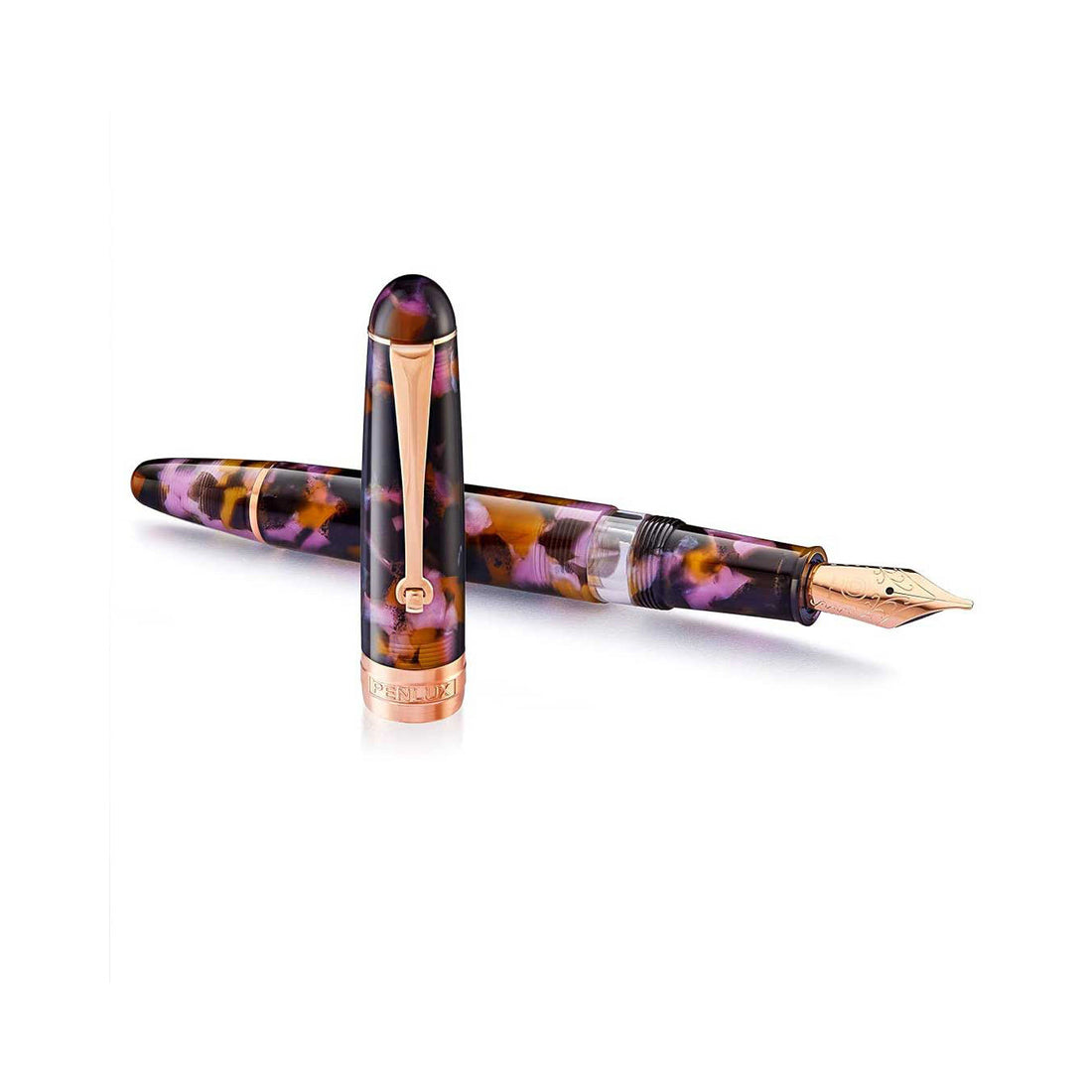 Penlux | Masterpiece Delgado | Fountain Ink Pen | Euploea | Brown Black | Piston Filling