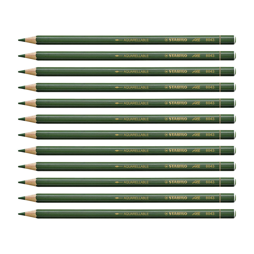 Stabilo | All Graphite Pencil | 12 Count Pack Of 1 | Green